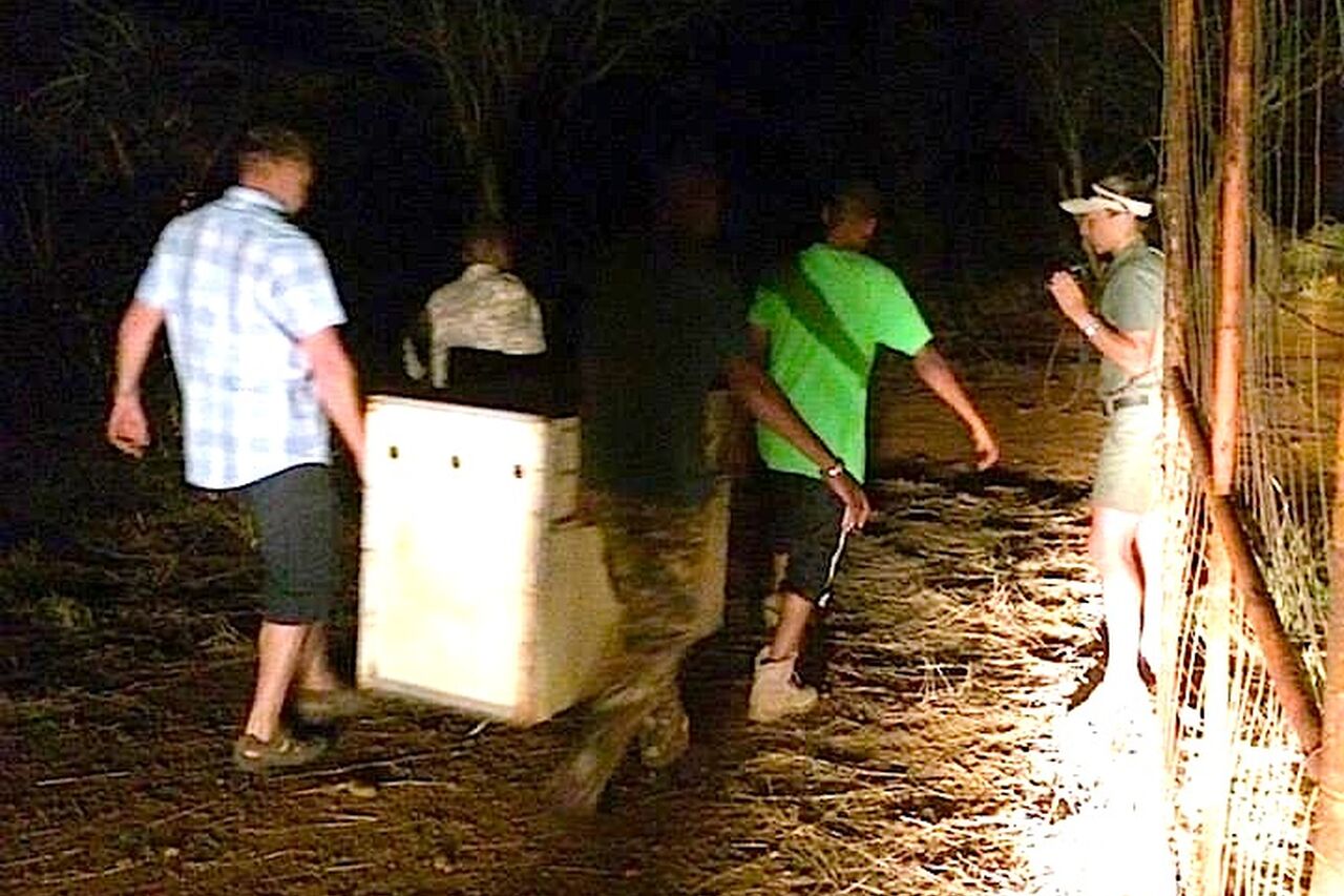 10481413 919248341420171 27211899067709160 n 1