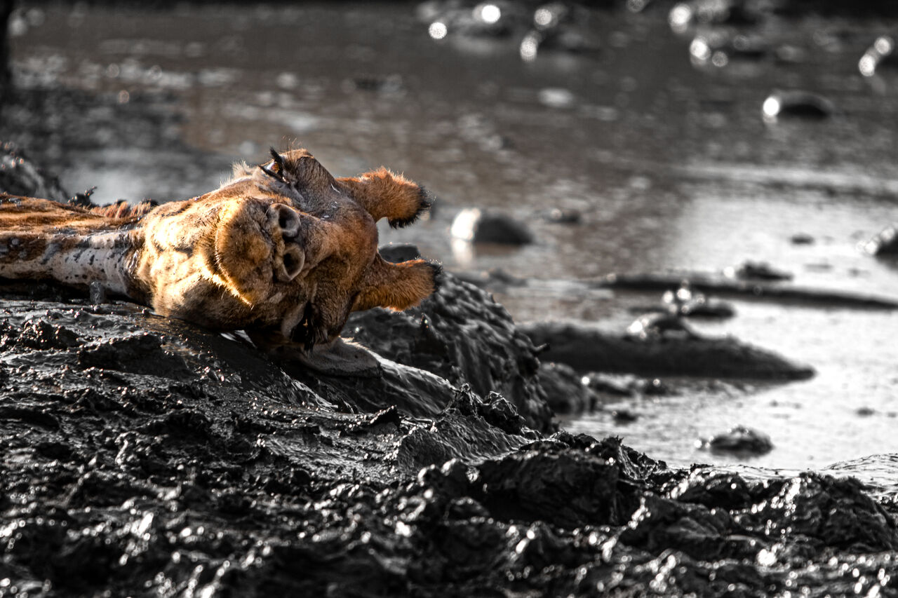 TB Photography 34182 1