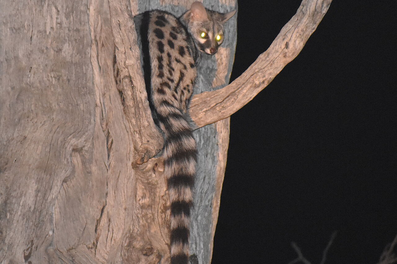 P2019 06 09 17 26 53