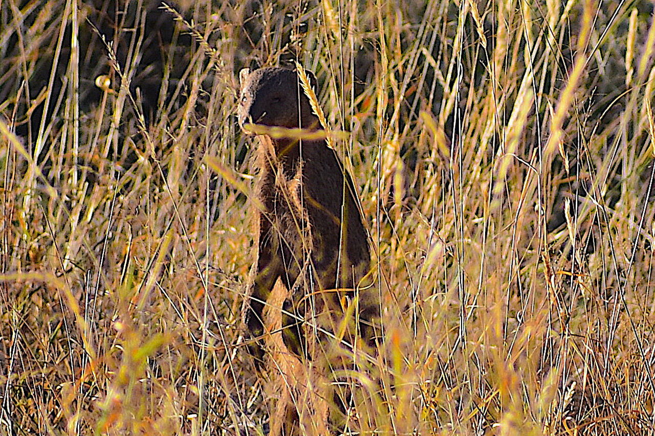 P2018 09 14 16 08 06