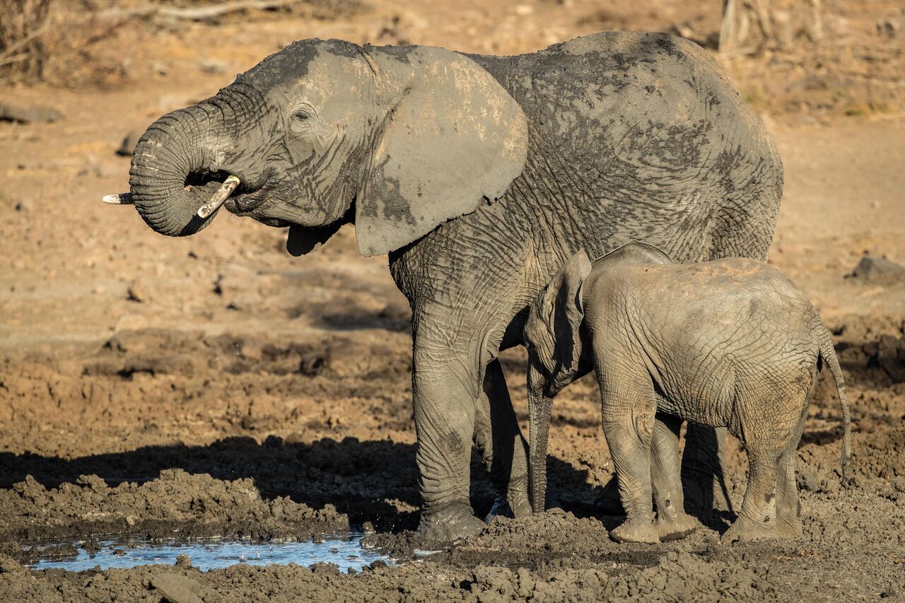 P Rhulani 2019 Ralf 003