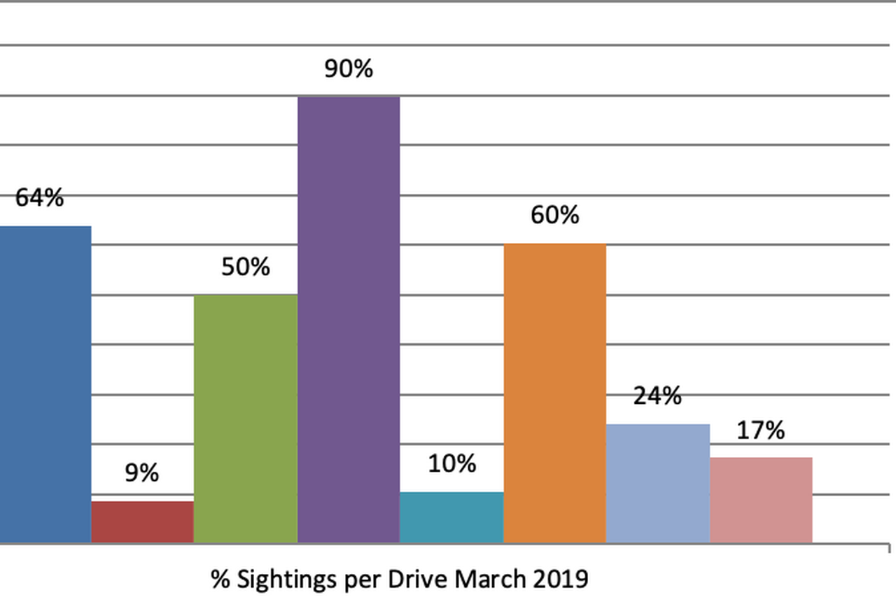March sightings stats