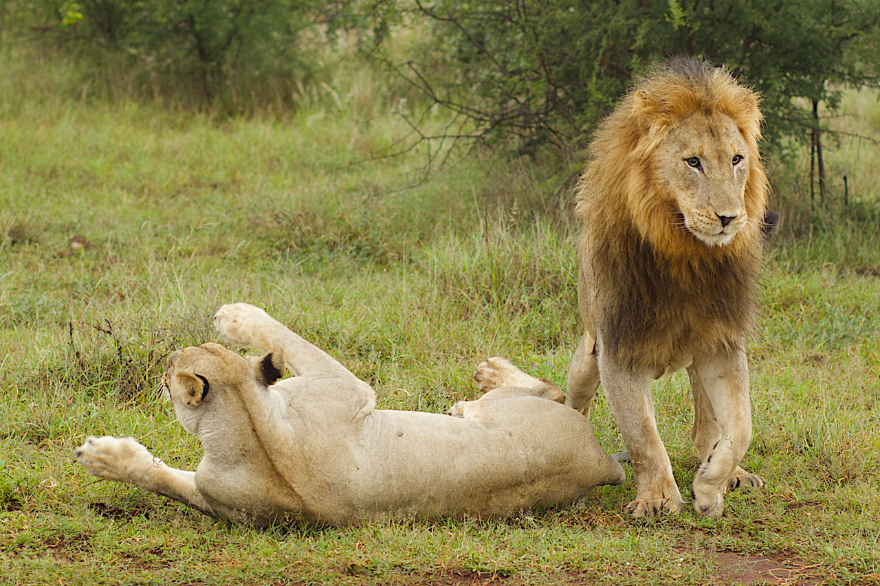 Screenshot 2023 05 15 at 13 50 17