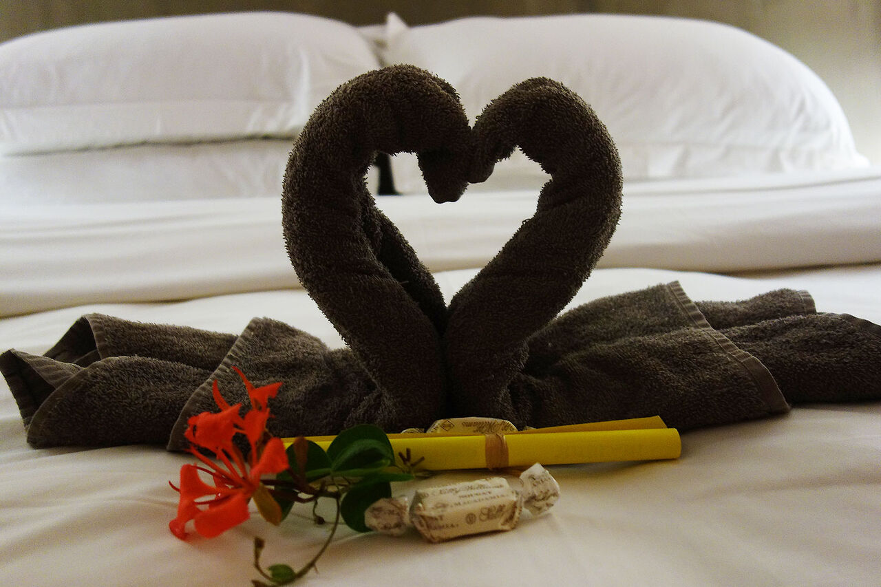 1 swan towels heart
