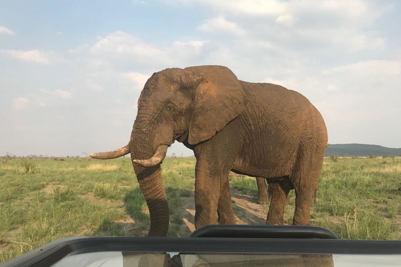 2018 02 06 PHOTO 00000045