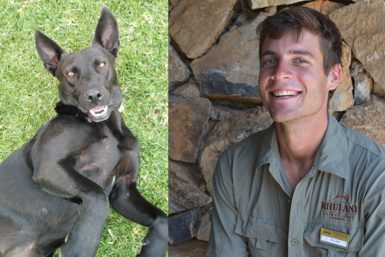 Screenshot 2022 12 30 at 16 09 28