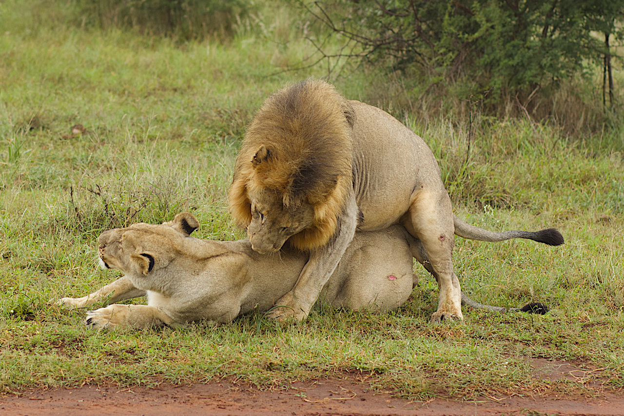 Screenshot 2023 05 15 at 13 49 56