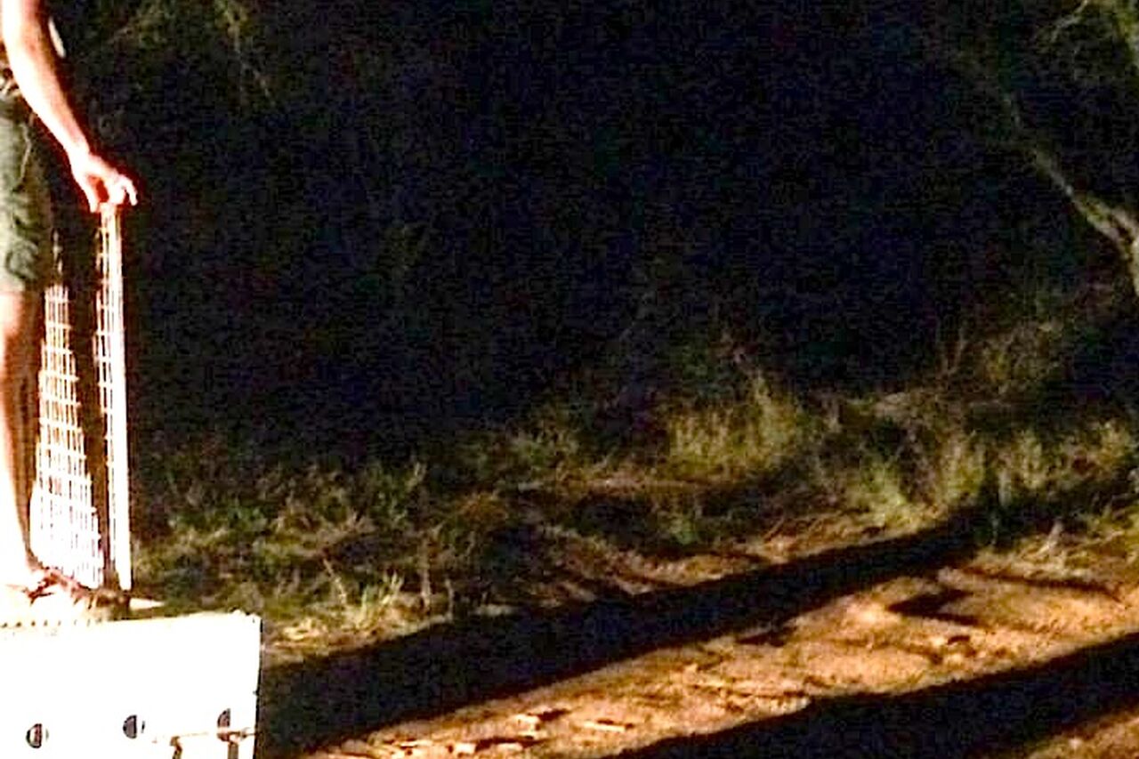 10482197 919248418086830 8599598556421813157 n