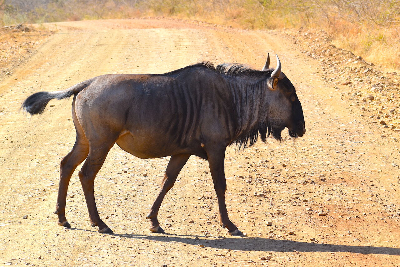 P2019 08 17 09 04 17