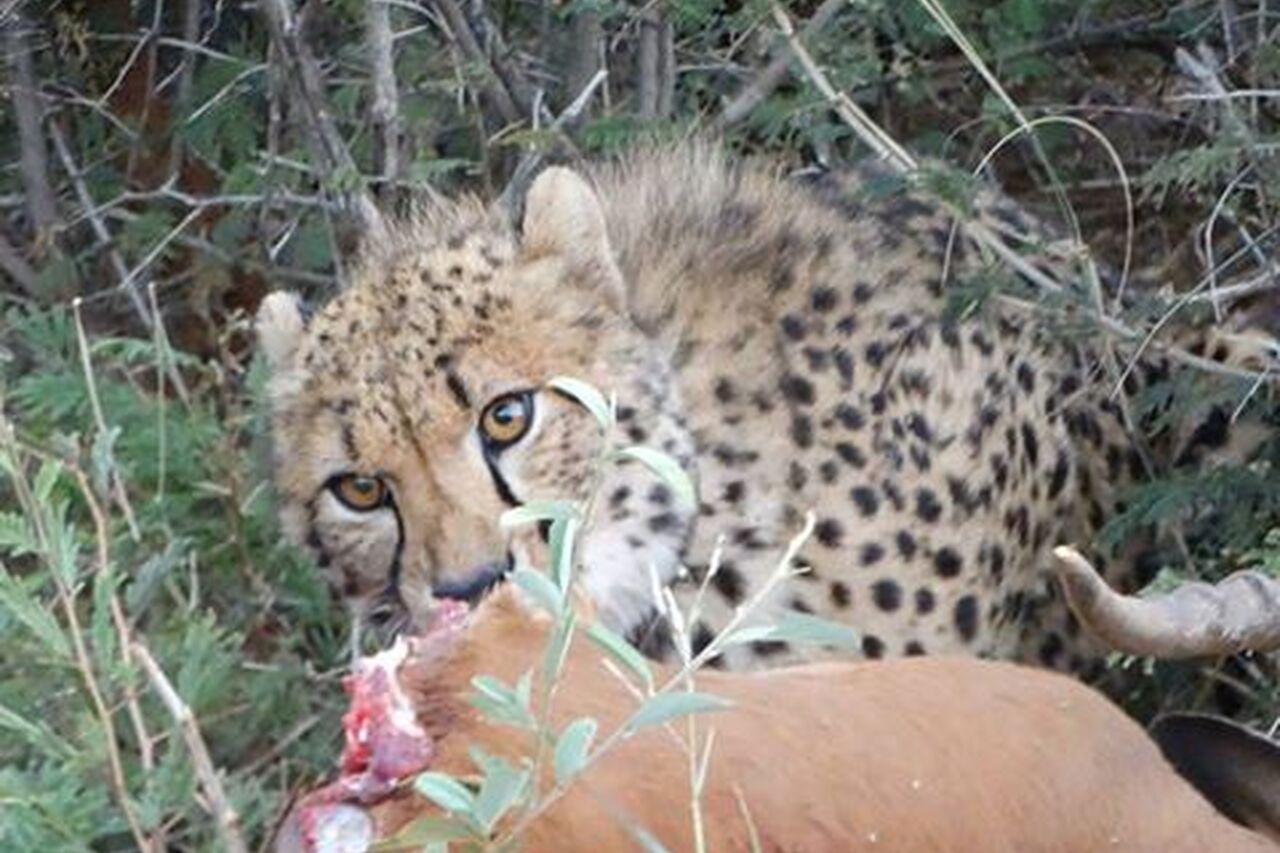 14364779 941098022702646 8948191506640651947 n