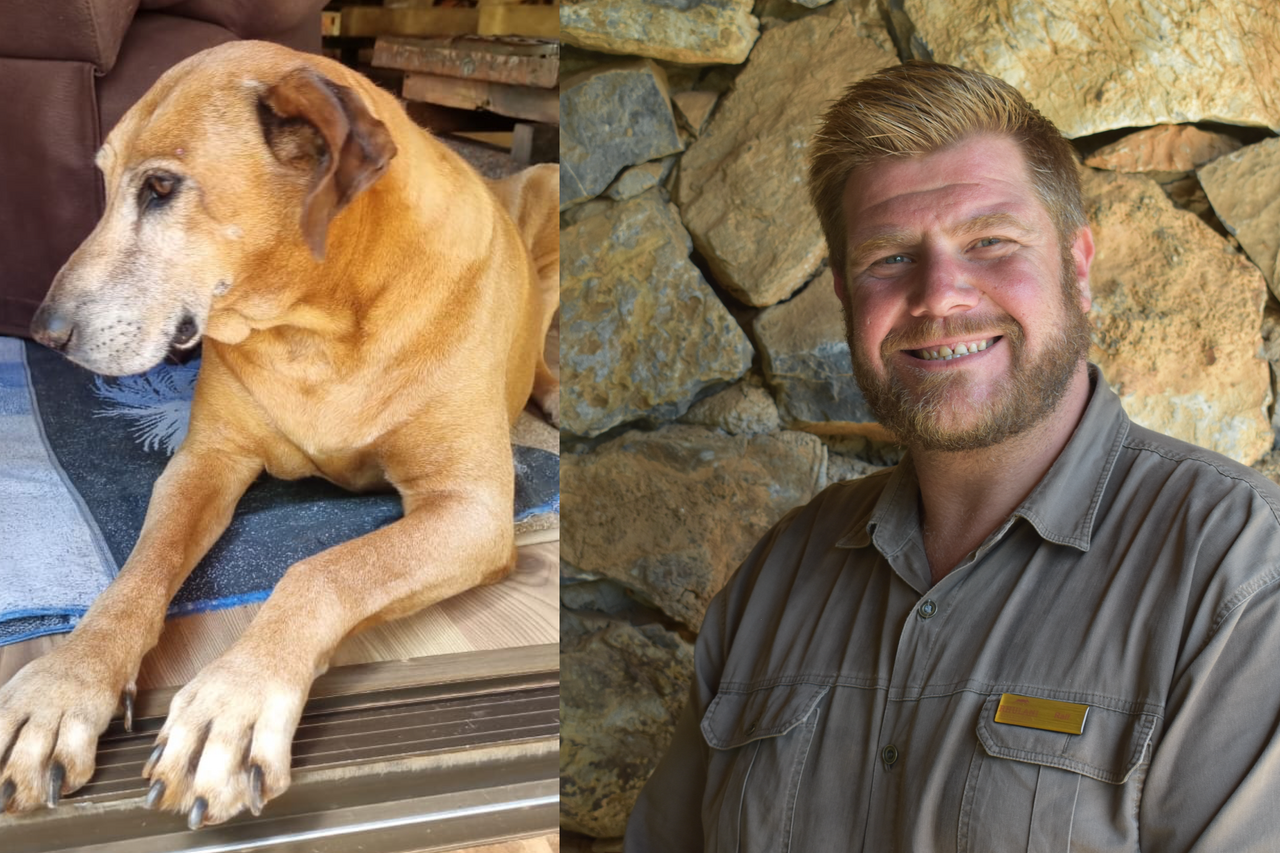 Screenshot 2022 12 30 at 16 00 29