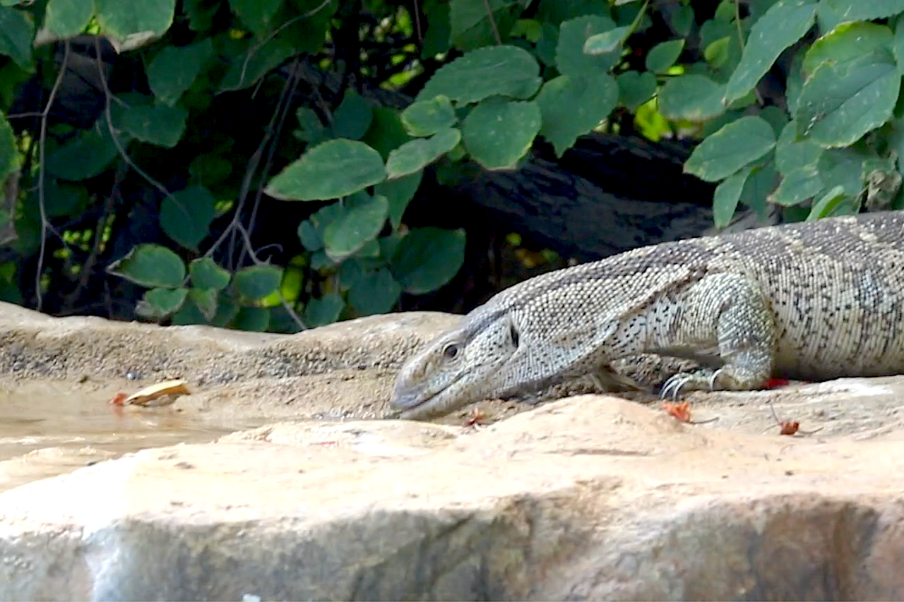 Screenshot 2020 03 28 at 16 38 37