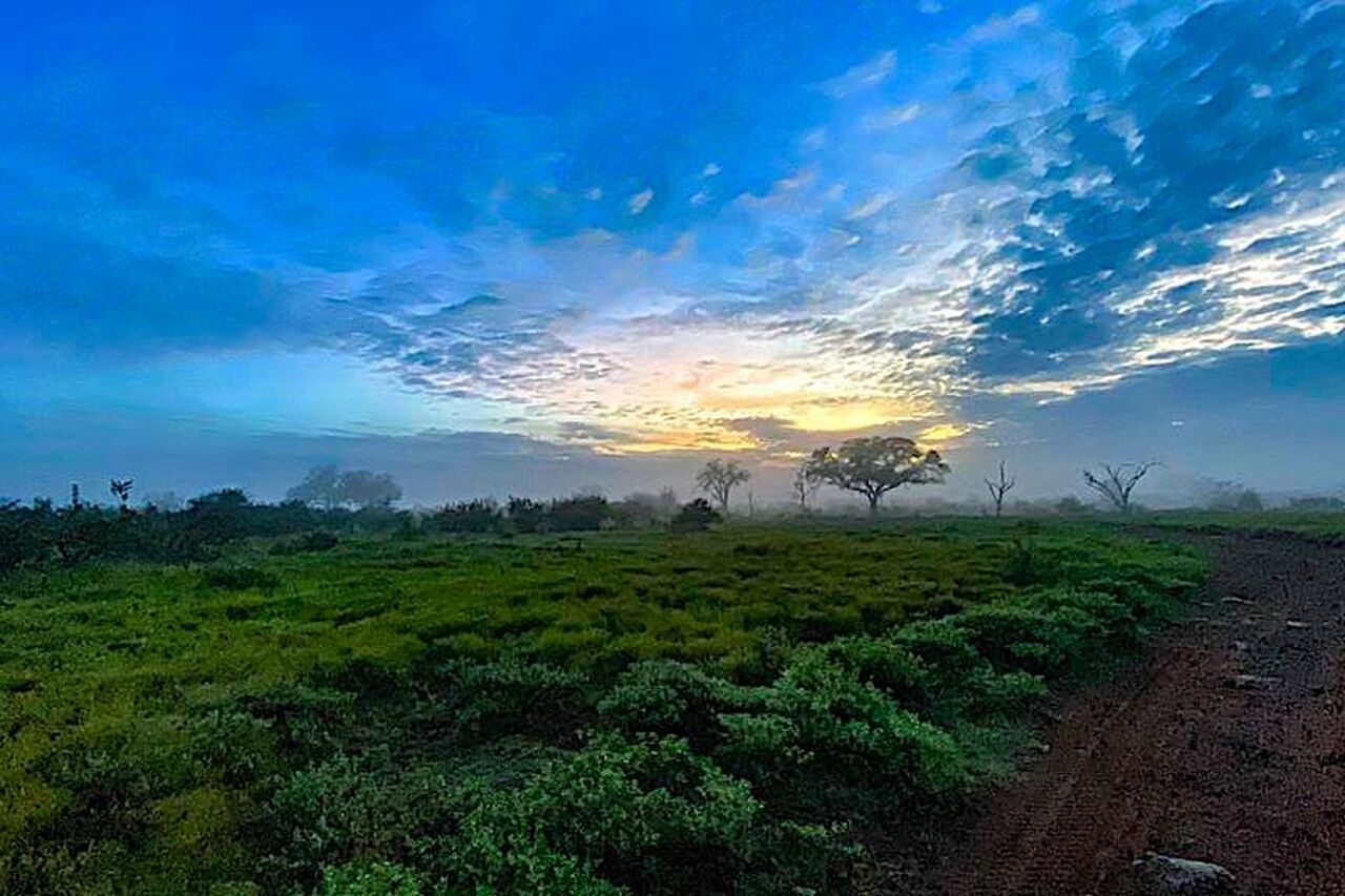 2020 02 29 16 36 01 1 2