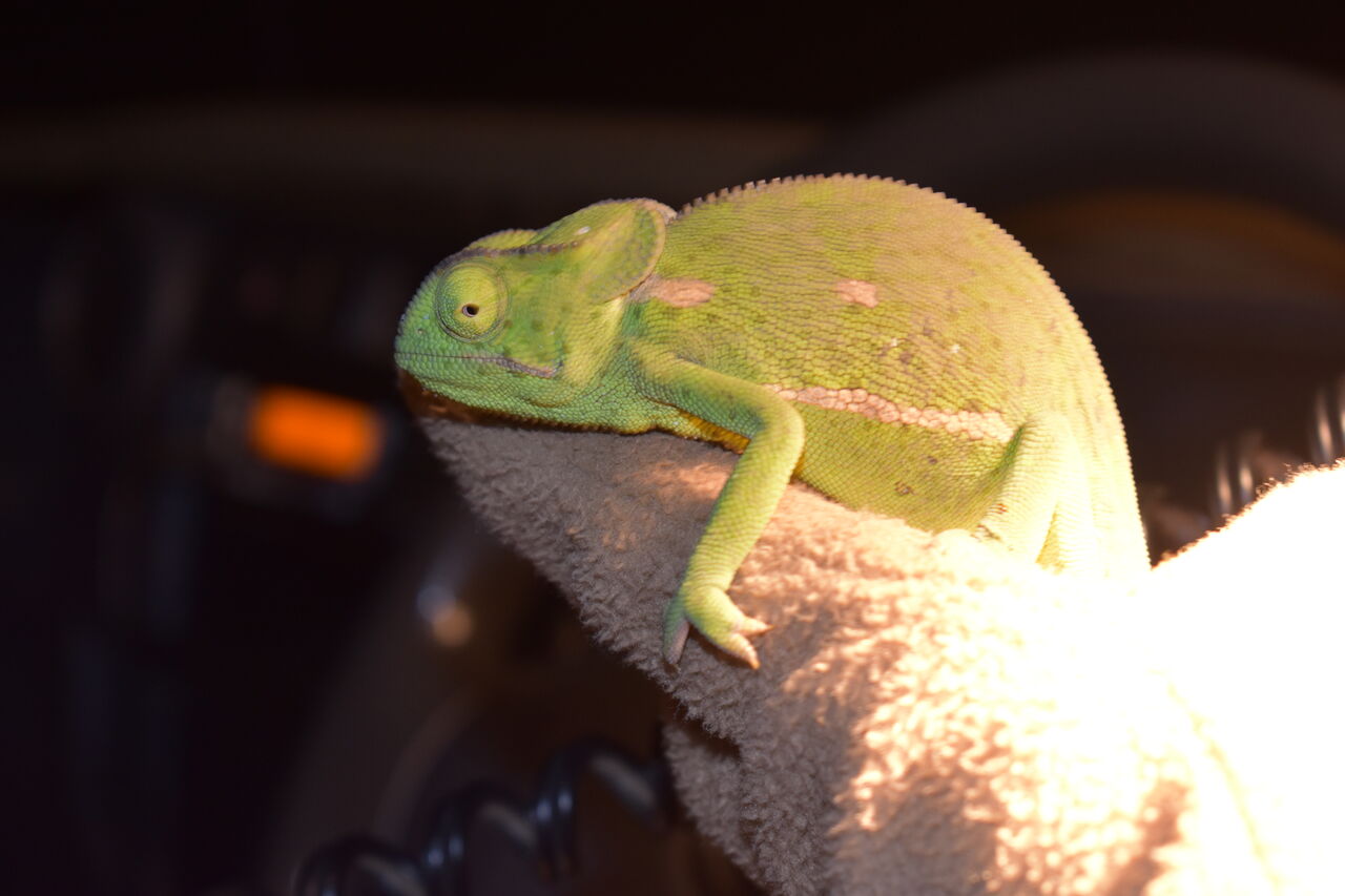 P2018 05 30 17 41 57