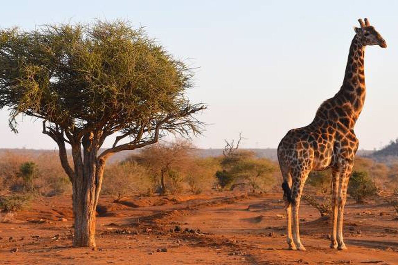 P2019 08 16 16 20 50 750 383 70 s