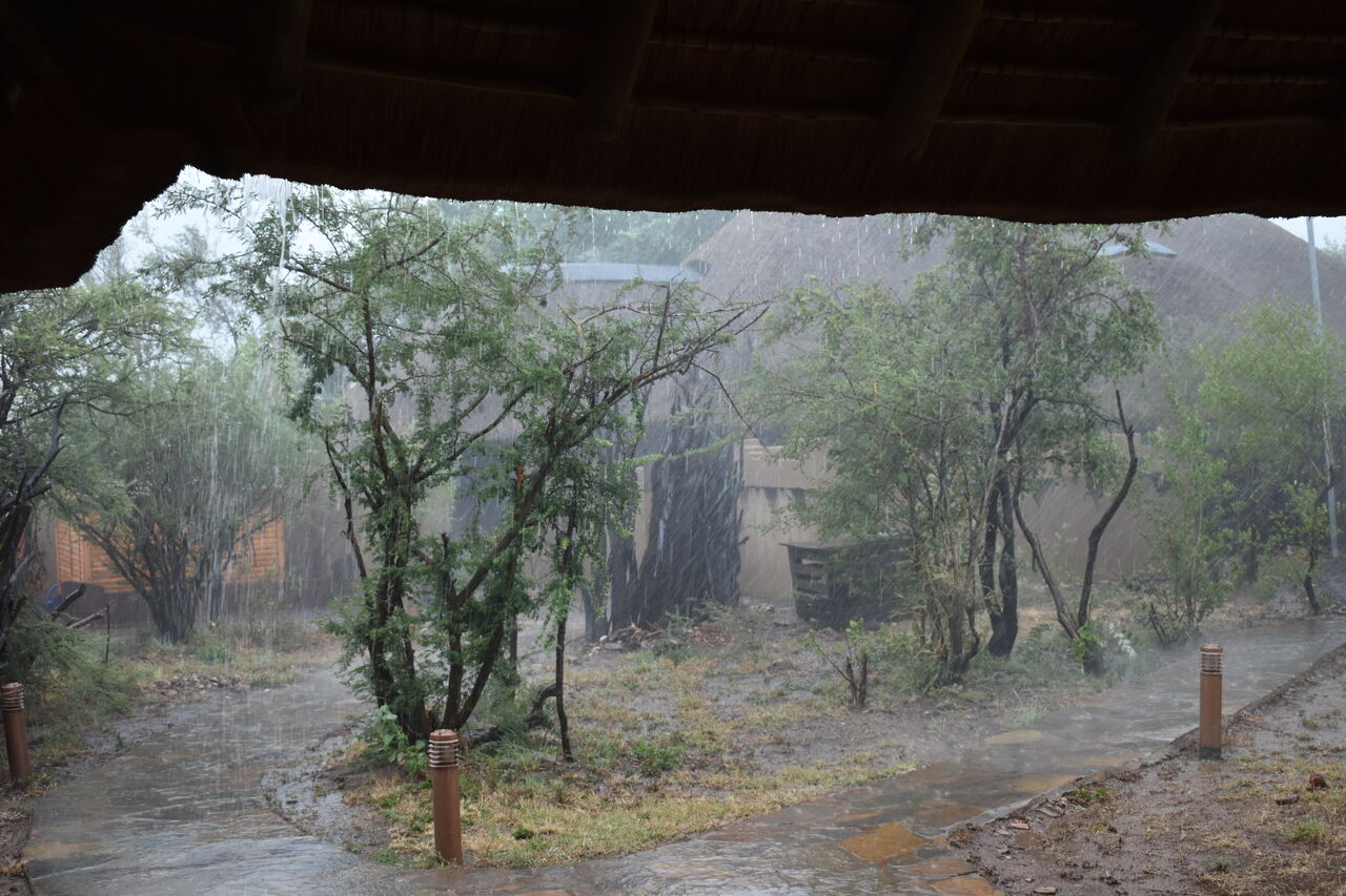 P 2017 11 25 11 33 46