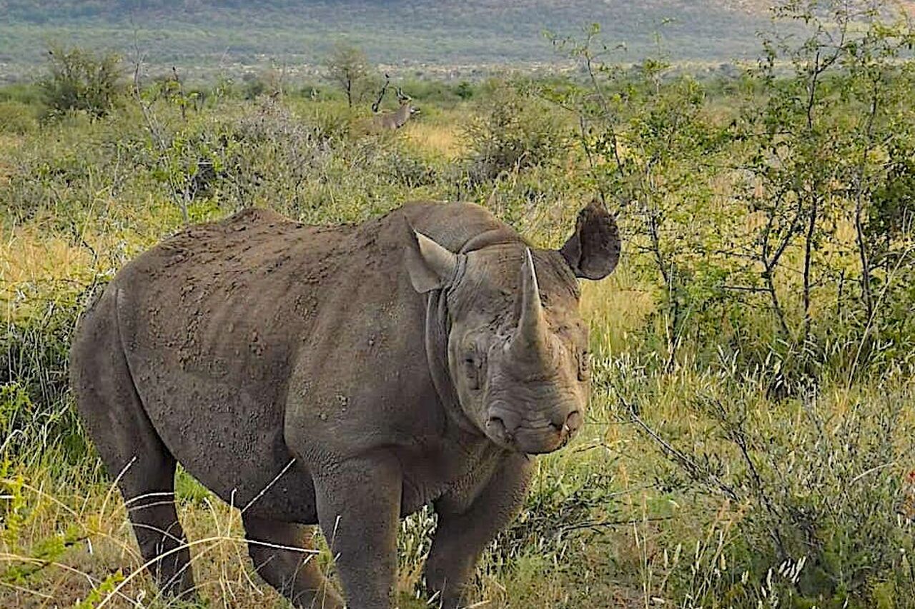 2020 03 05 05 07 29 2