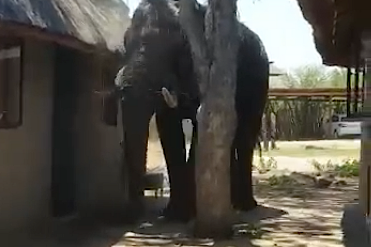 Screen Shot 2018 09 25 at 12 10 20 PM