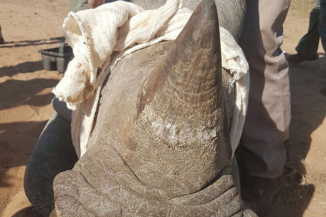 Foto 03 06 17 17 20 47