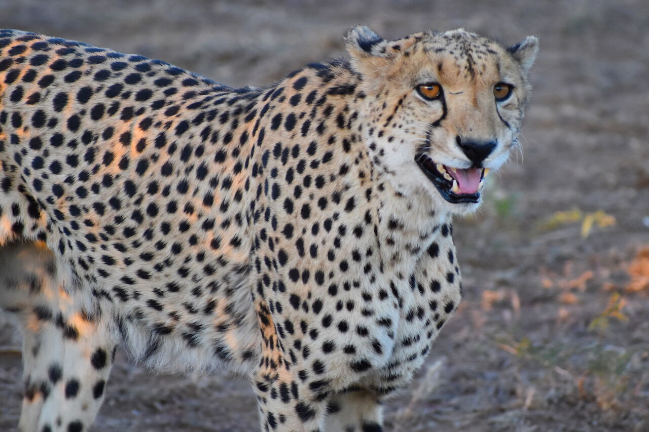 P2019 06 08 16 23 34