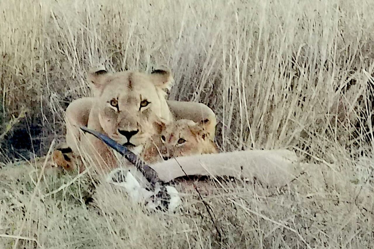 2020 05 26 08 17 13 2