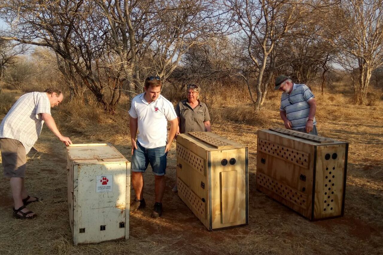 Datei 22 09 17 09 43 27