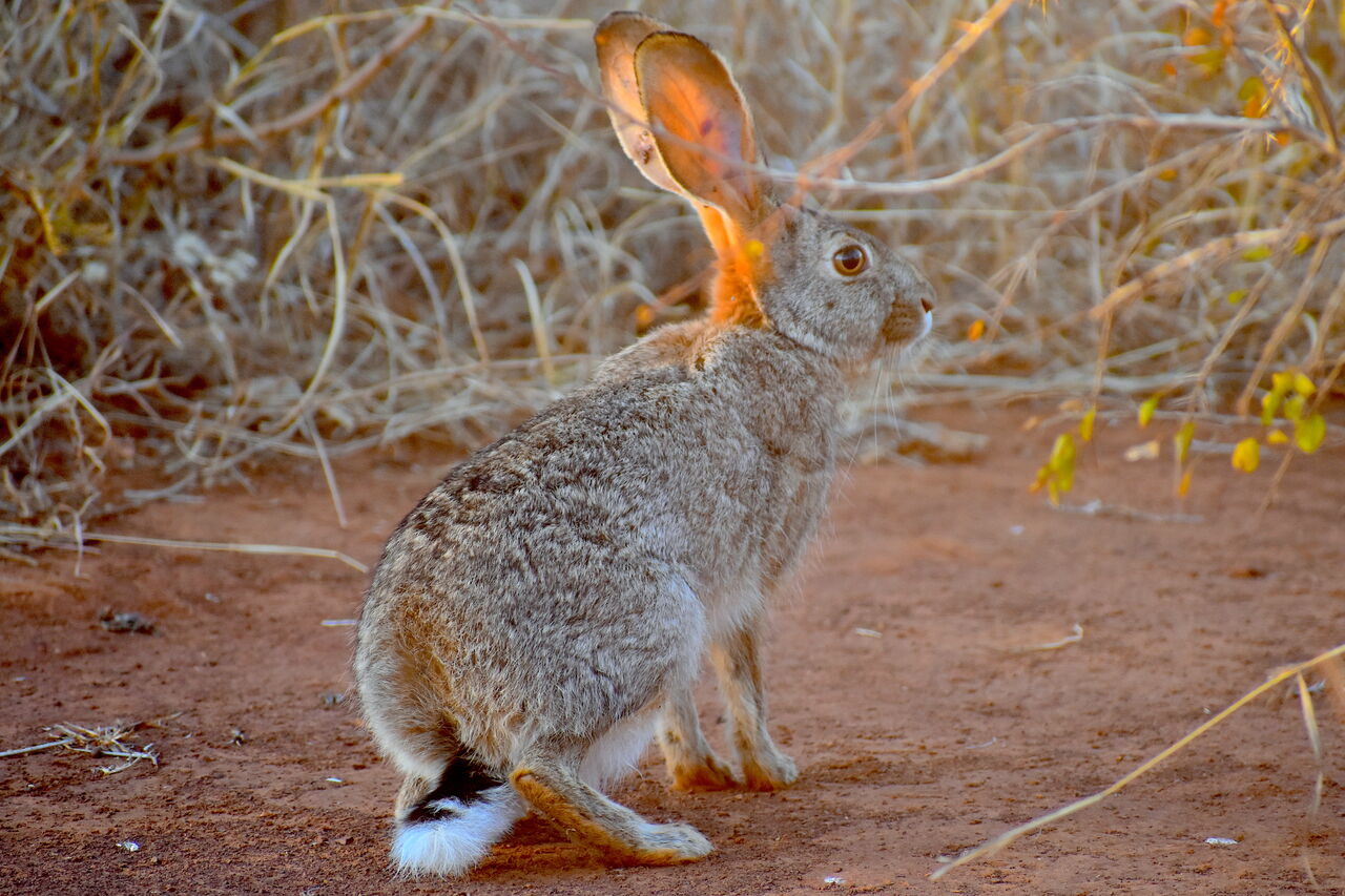 P2018 09 15 05 48 31