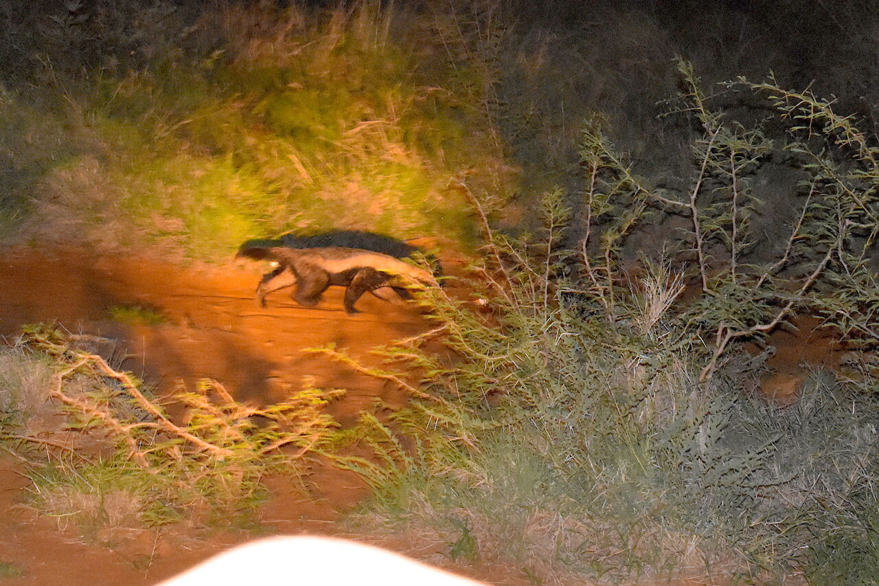 P2019 02 17 18 50 39