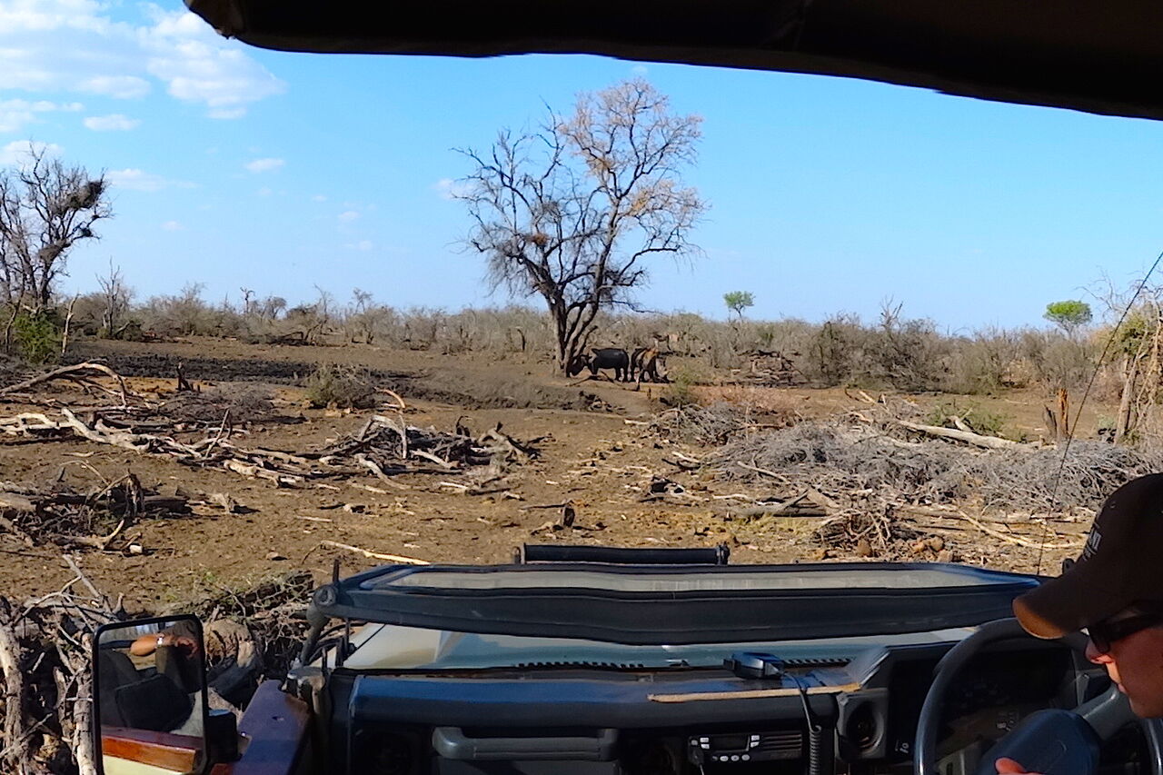 Game drive