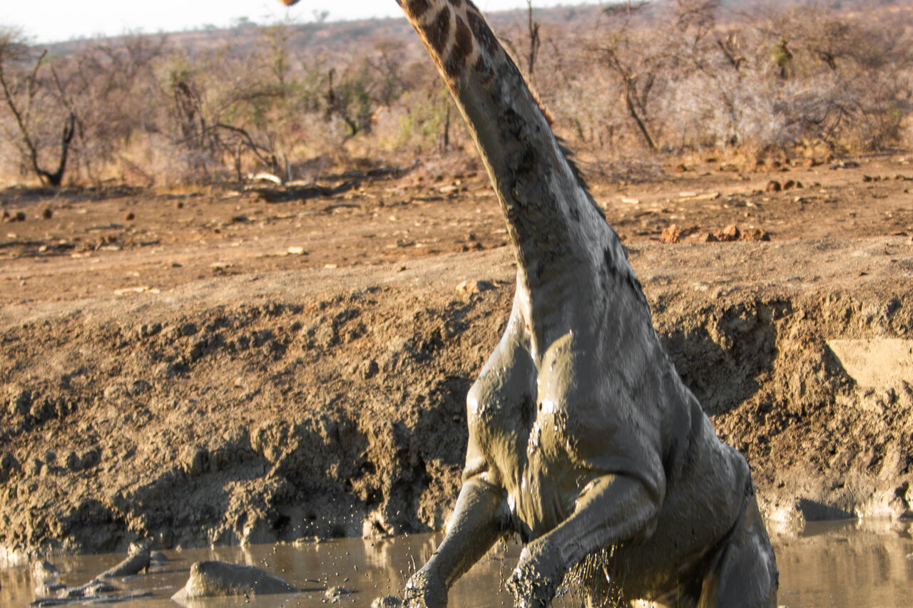 TB Photography 34180