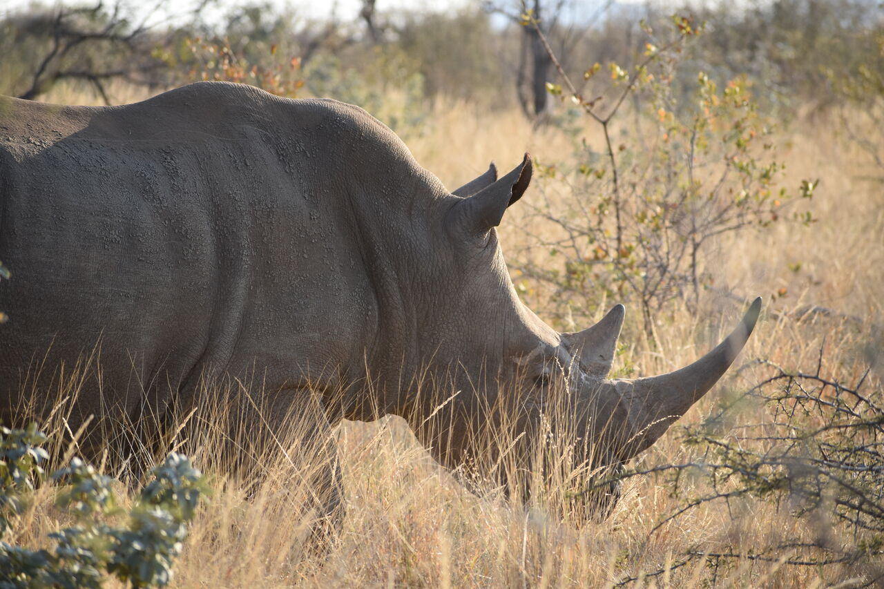 P2018 09 16 06 20 05