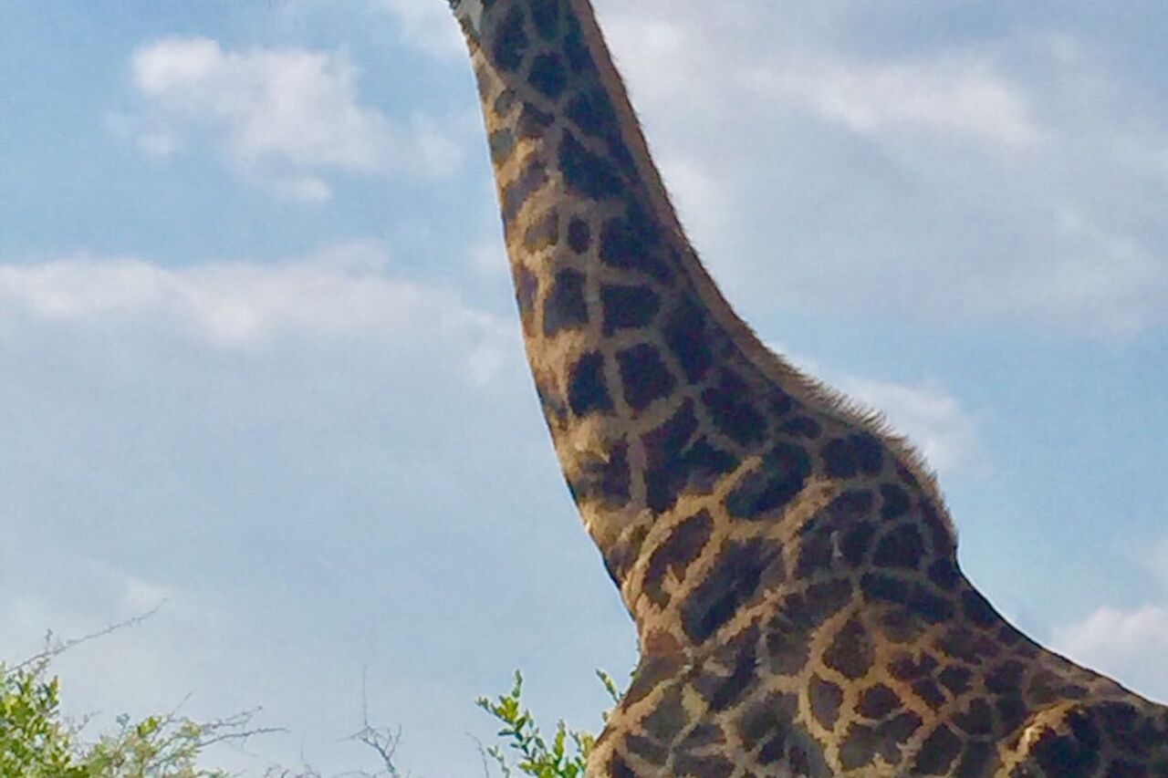 Foto 02 05 17 07 25 20