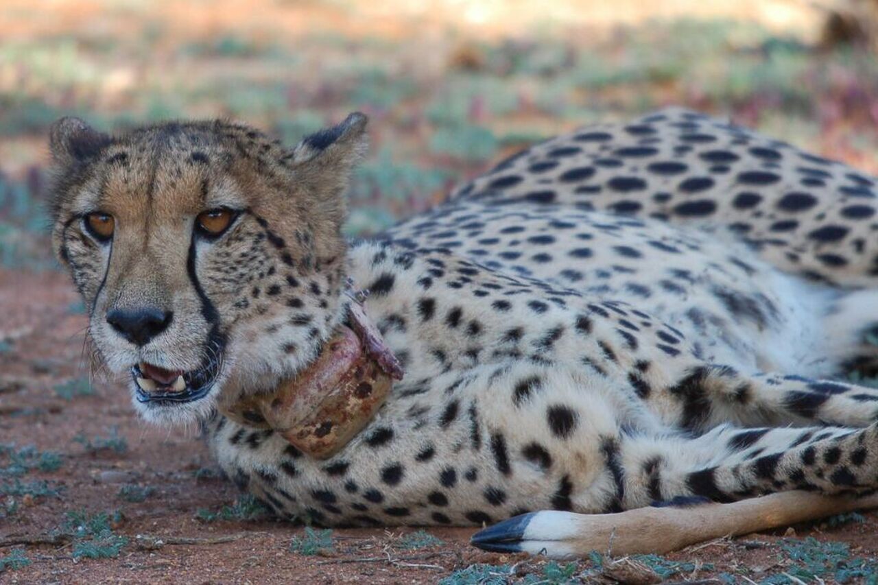 Foto 20 12 17 09 04 28