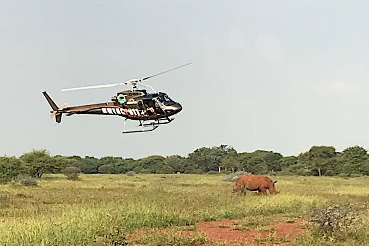 2018 04 12 08 52 45 2