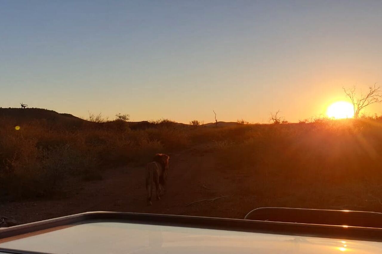 Foto 01 04 19 14 49 11