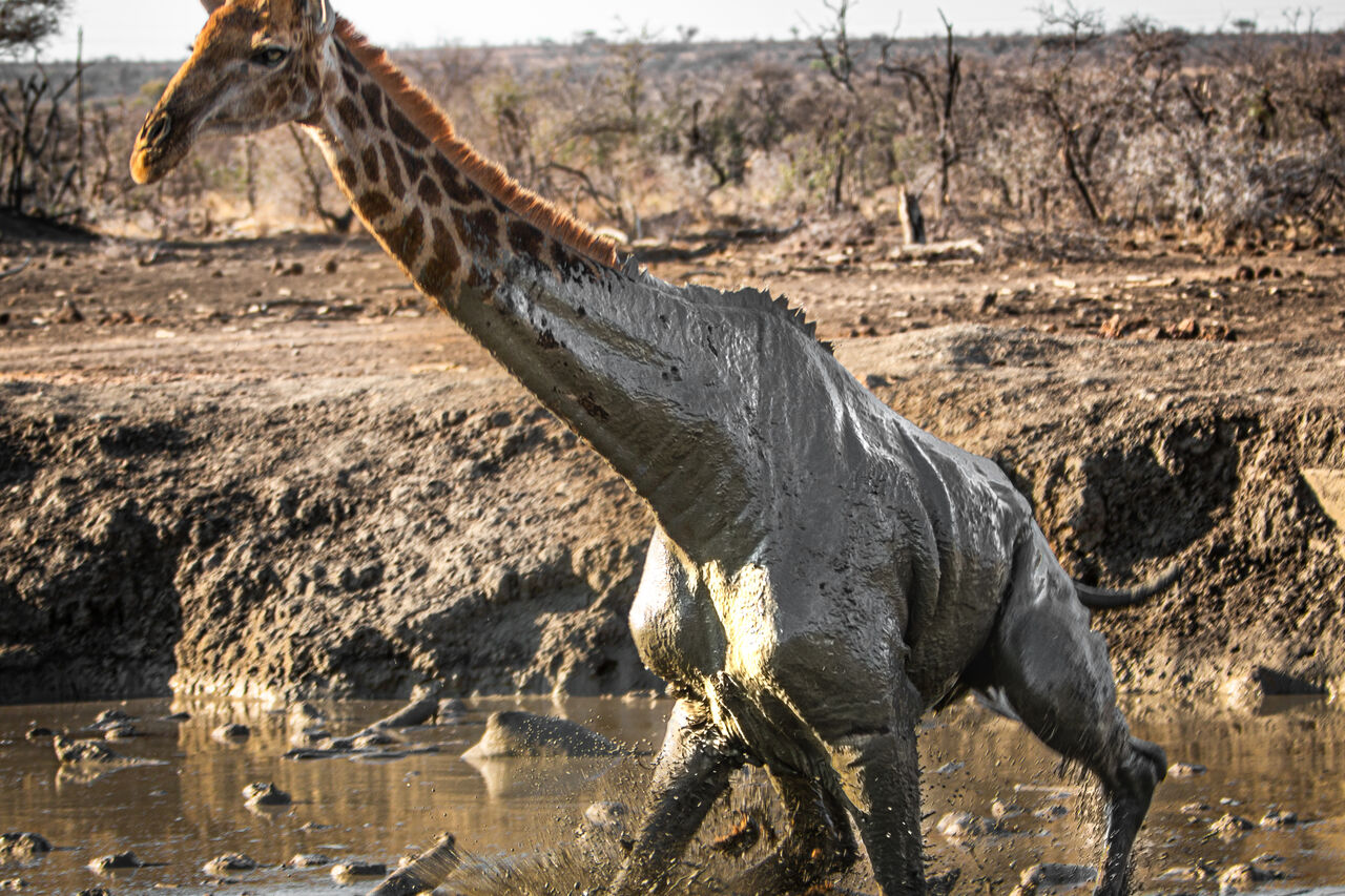 TB Photography 34179 1