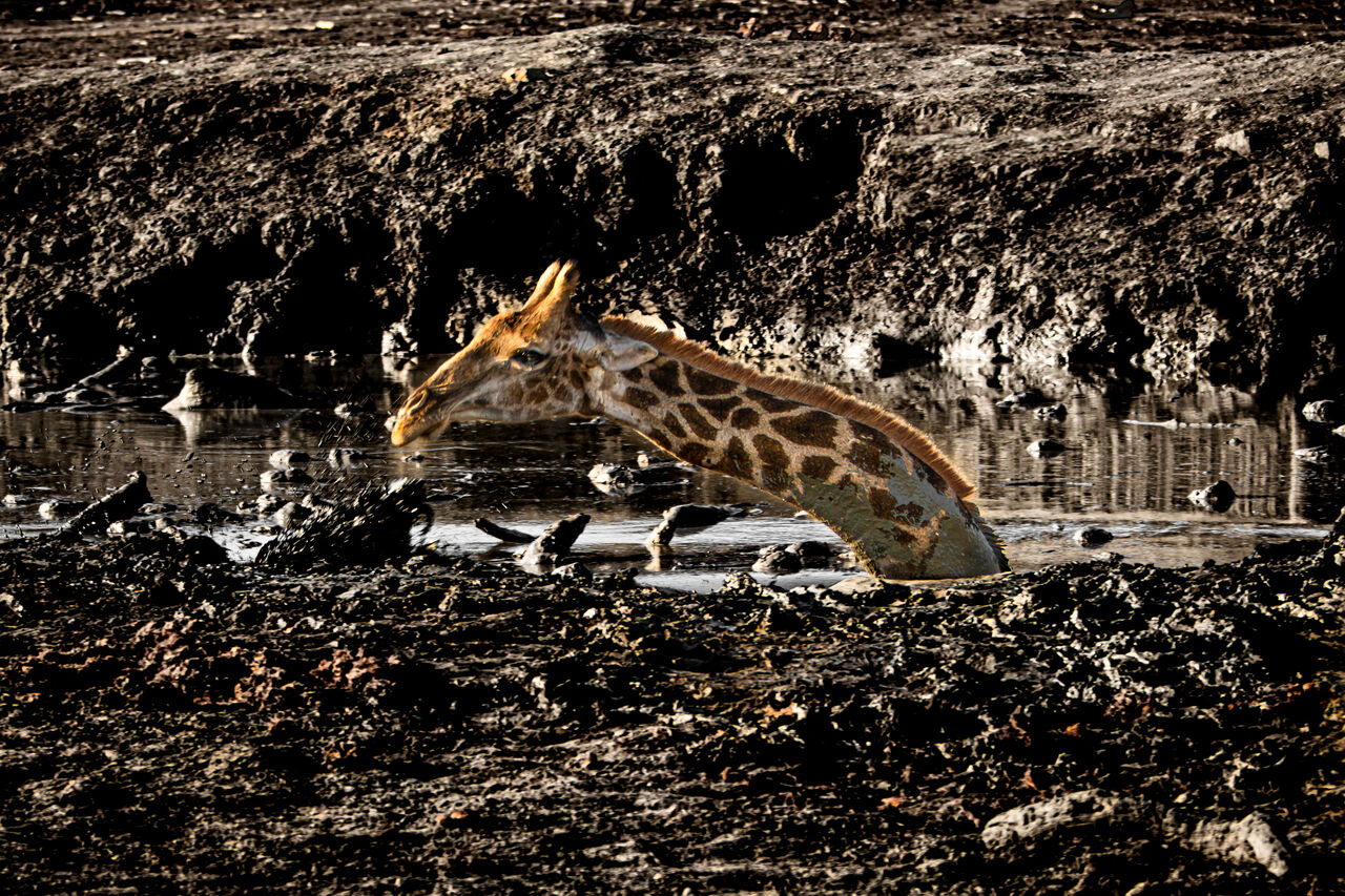 TB Photography 34174 1