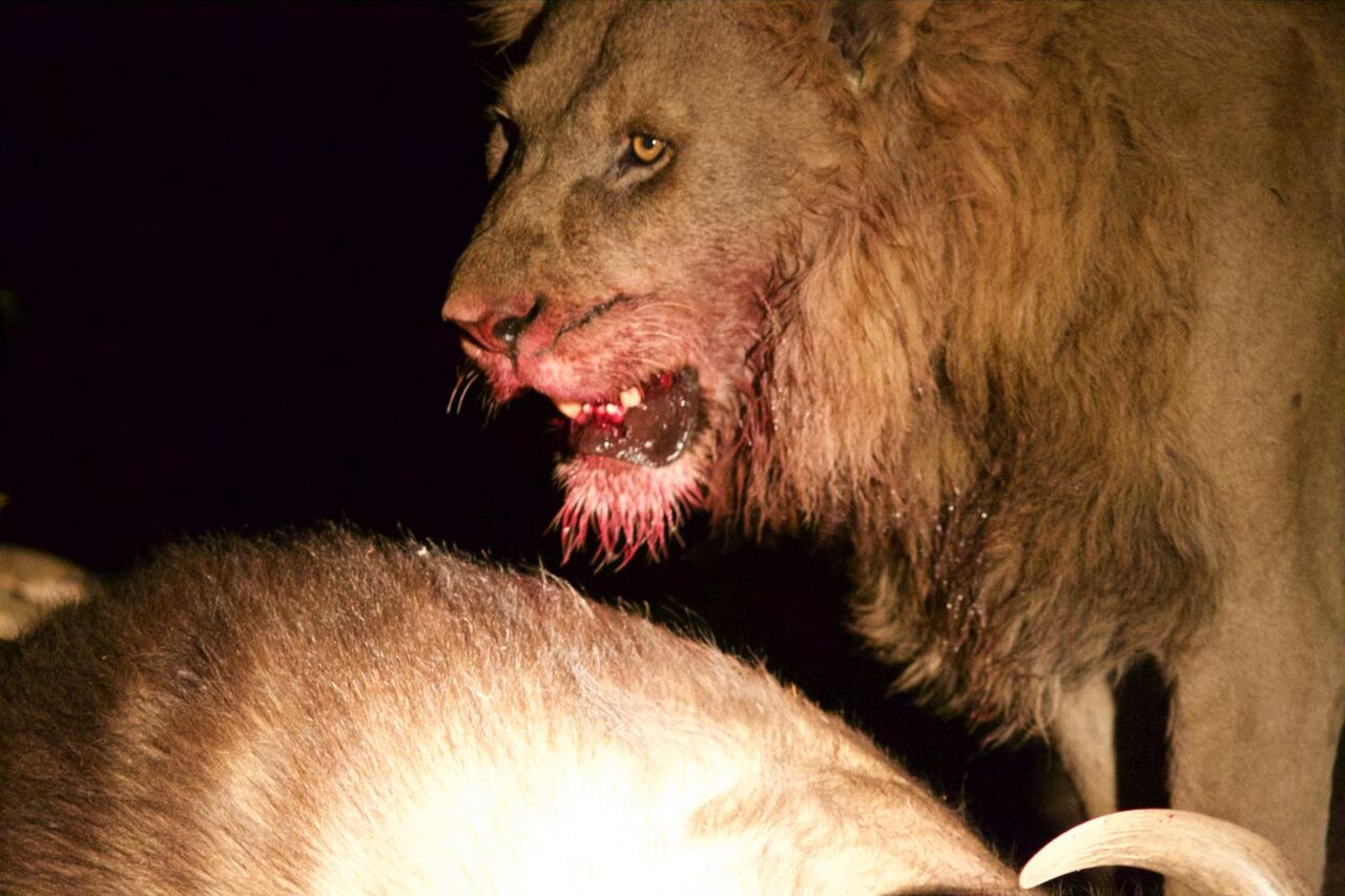 12087858 749155398563577 8699009174701236615 o