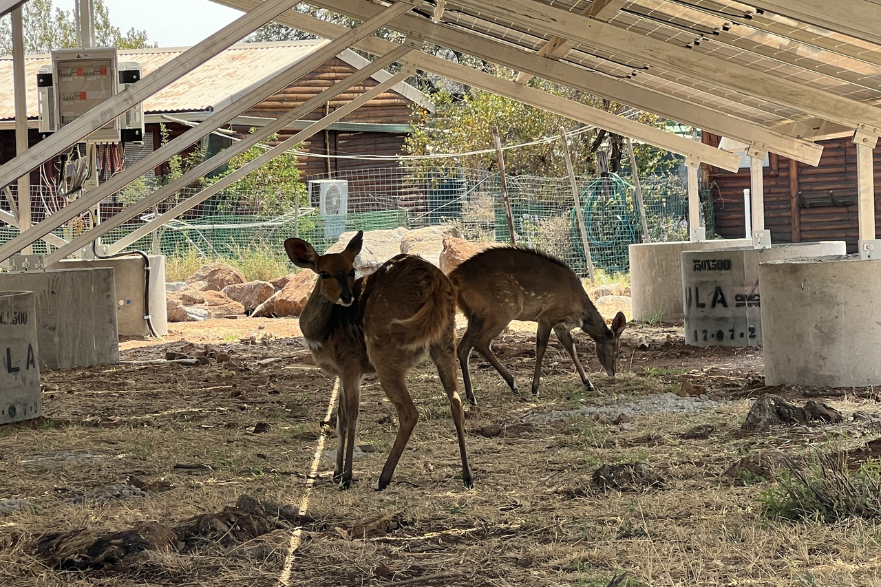 Screenshot 2023 09 08 at 18 51 39