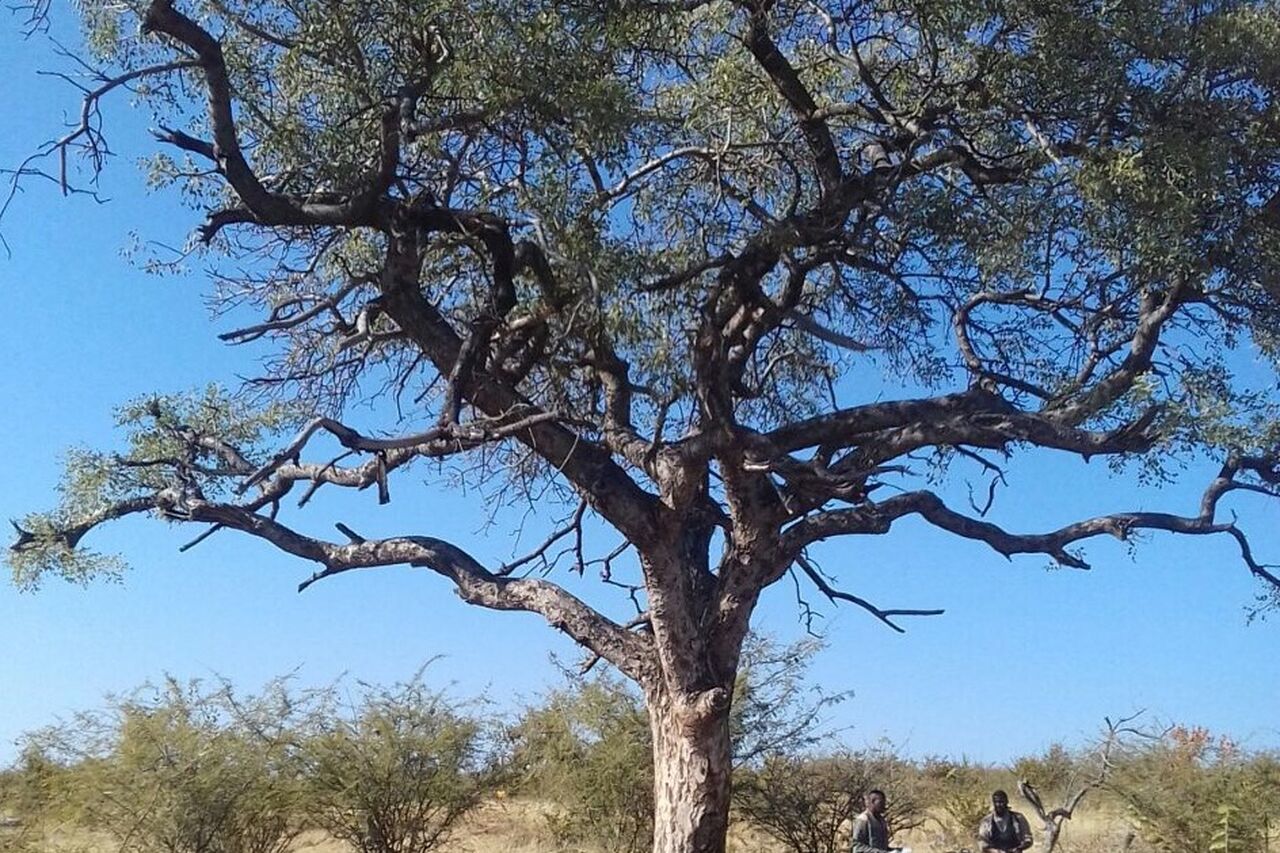 Foto 12 06 17 13 05 45