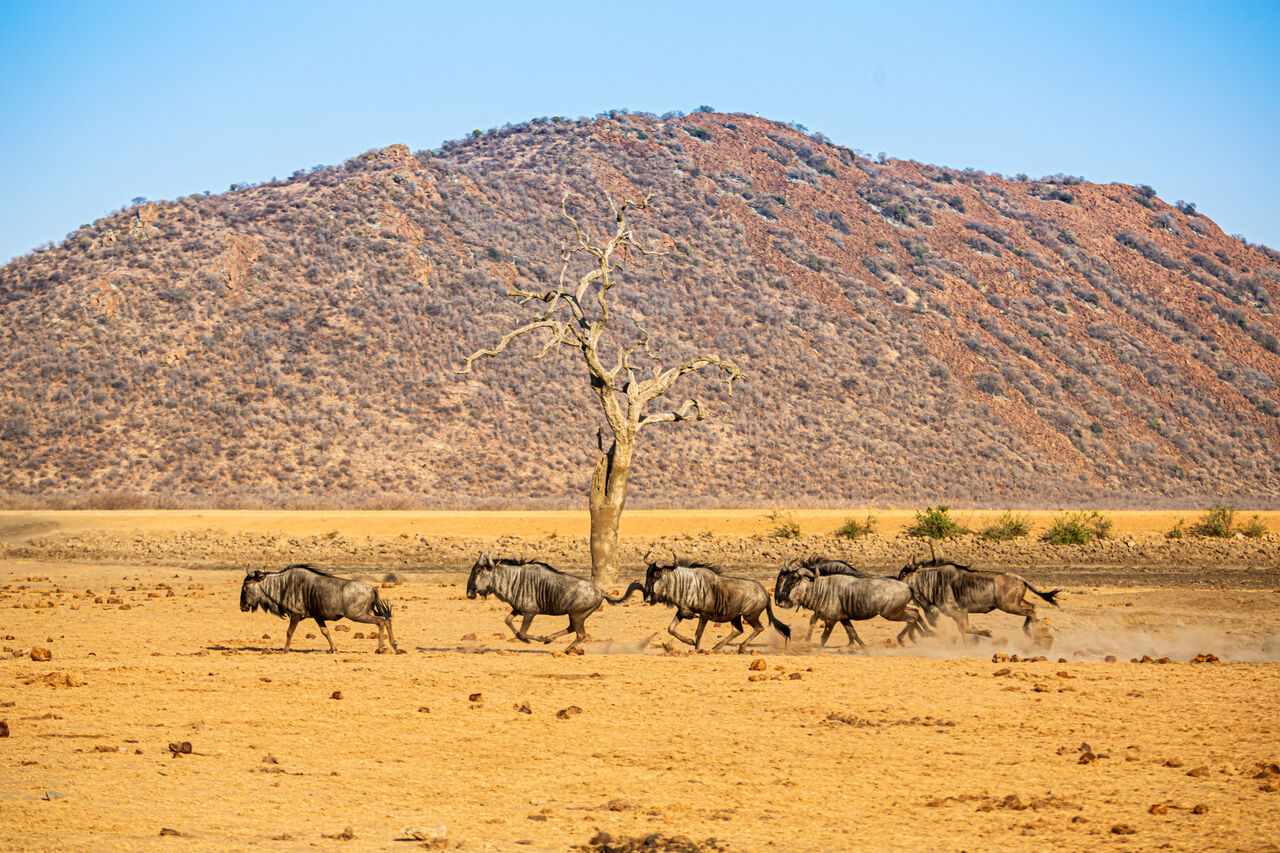 TB Photography 33827