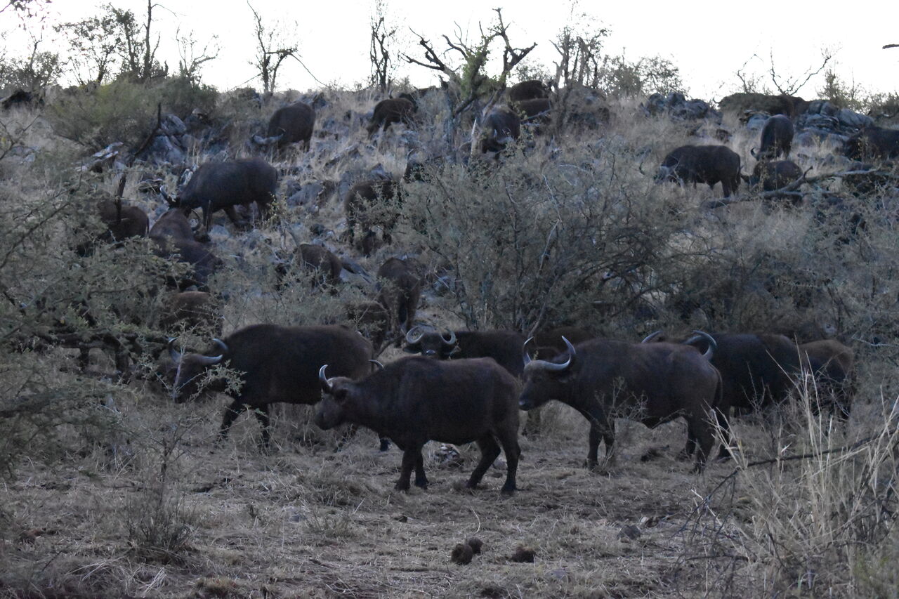 P2017 11 25 18 01 07