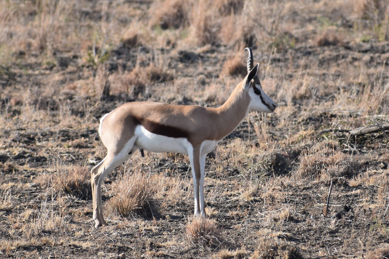 P2019 08 17 07 32 59