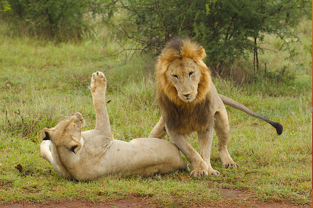 Screenshot 2023 05 15 at 13 49 37