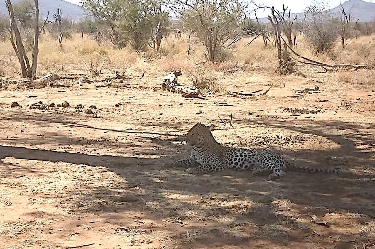 2018 08 31 11 23 18 6