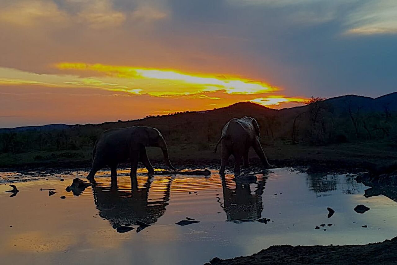 P2020 01 03 12 47 59 1