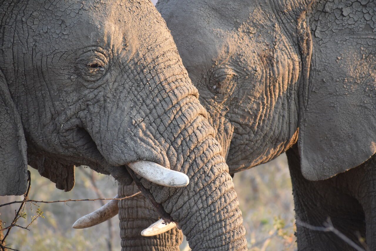 P2018 09 16 16 46 24