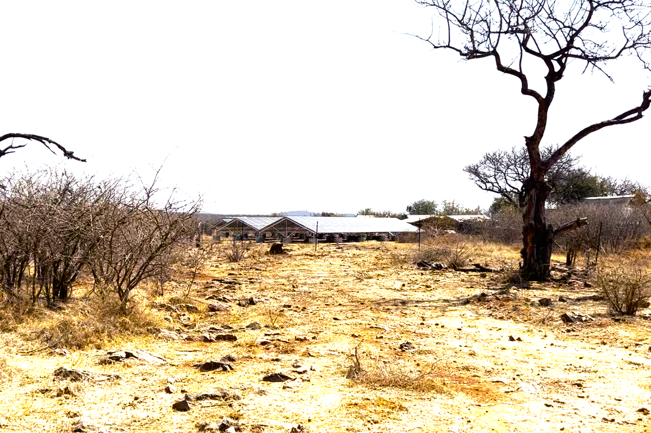 Screenshot 2023 09 18 at 10 40 17