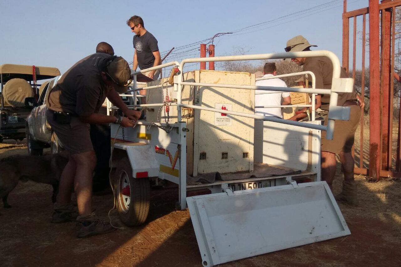 Datei 22 09 17 09 43 56 1