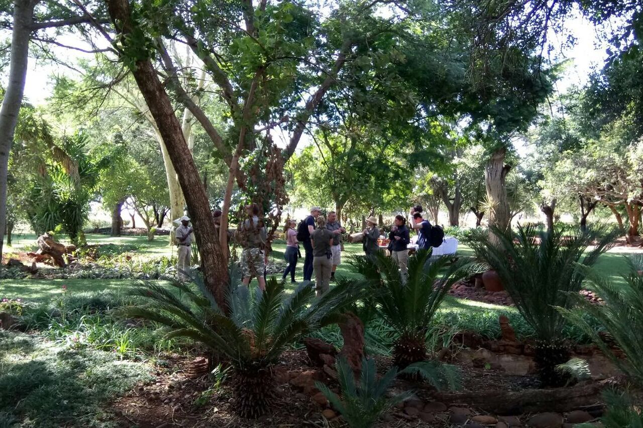 Foto 03 06 17 17 20 44